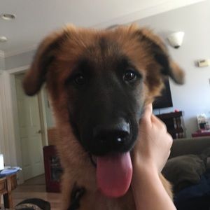 Meet your Posher, Ben